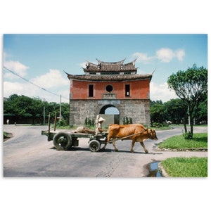 1960年代の台湾、台北南門の壁と牛車の写真プリントヴィンテージポスター壁アート遺産台湾生活政府ギフトアイデア