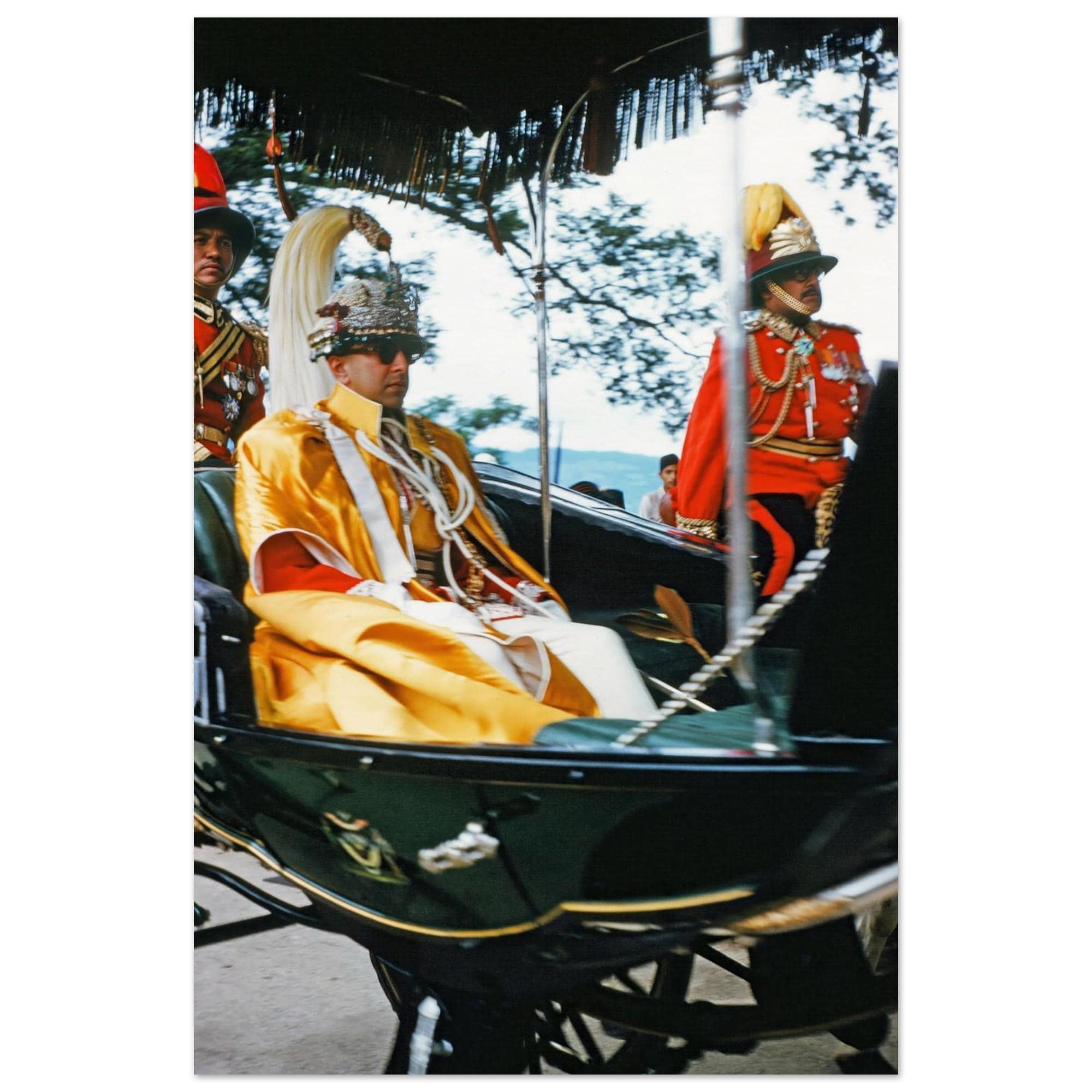 額縁 Late King Birendra Painting A2:No Frame il_fullxfull.6713939046_1y62.jpg