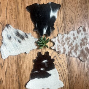 Coasters, Real Cowhide, Set of 4, Tea Coasters, Reversible, Hard Back for Better Absorption
