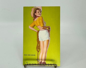 Vintage Girlie Earl Moran Postcard "Wide Open Spaces" 1940's Only one left!