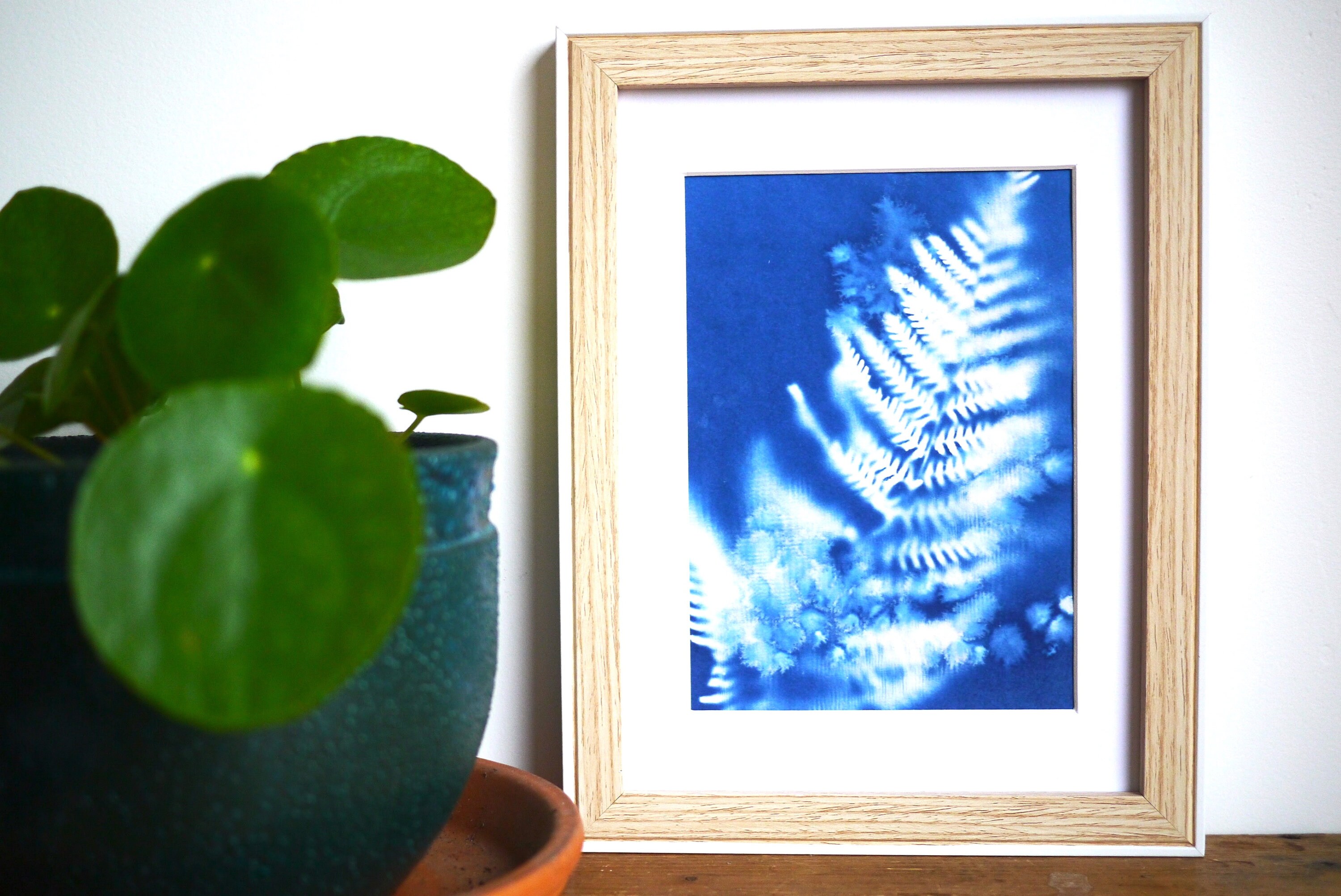 Affiche Artisanale Botanique Cyanotype Format A5 Fougère Onirique