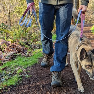 10 Ft Two-Tone Biothane Leash with Traffic Handle