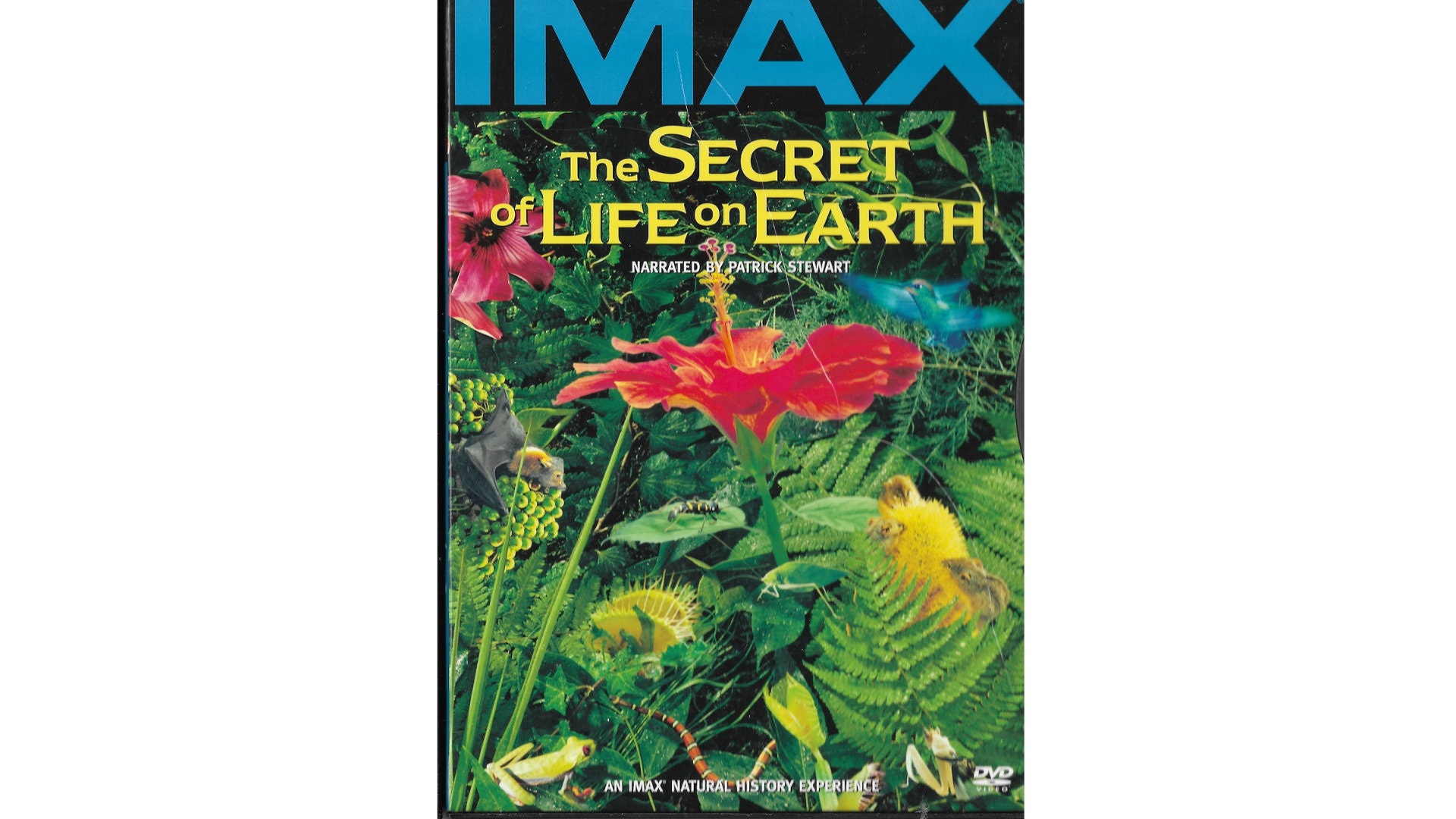 Imax DVD Video the Secret of Life and the Hidden Dimension - Etsy 
