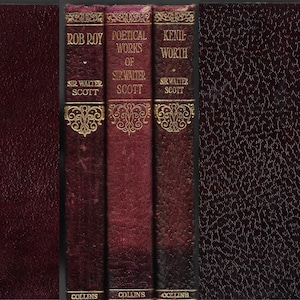 Antique Sir Walter Scott Poetical Works , Rob Roy, Kenil Worth