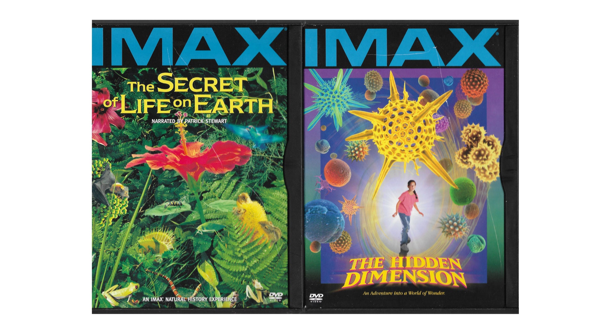 (未使用･未開封品)Imax: Journey Into Amazing Caves [DVD] Amazon.com: Journey Into Amazing Caves (IMAX) : Liam Neeson