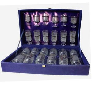 Vintage 24-Piece Etched Glass Barware Set in Velvet Presentation Case – Goblets & Shot Glasses – Collectible Drinkware
