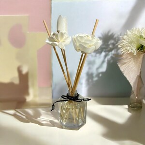 Luxury Diffuser/reed Diffuser/gift/perfect Gift/110ml Hexagon Diffuser ...