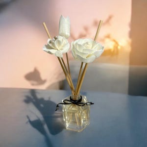 Luxury Diffuser/reed Diffuser/gift/perfect Gift/110ml Hexagon Diffuser ...