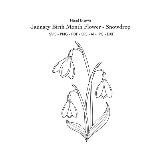 January Birth Month Flower Svg Hand Draw Snowdrop Svg - Etsy