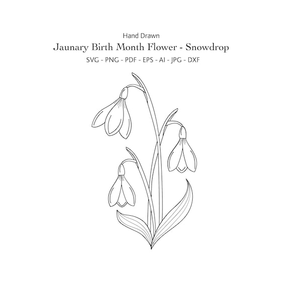 January Birth Month Flower Svg Hand Draw Snowdrop Svg - Etsy