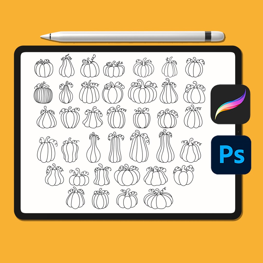 Pumpkin Procreate Brushes Bundle Brushes Pumpkin Etsy