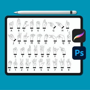 Procreate ASL Alphabet Brushes: American Sign Language, Numbers (Digital Download)
