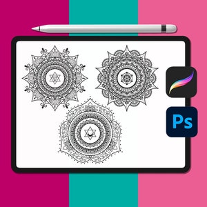 Chakra Mandala Brushes for Procreate & Photoshop (Digital Download)