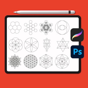 May include: A digital drawing of 12 geometric shapes, including a flower of life, a seed of life, and a metatron's cube. The shapes are drawn in black lines on a white background. The drawing is displayed on a digital tablet.