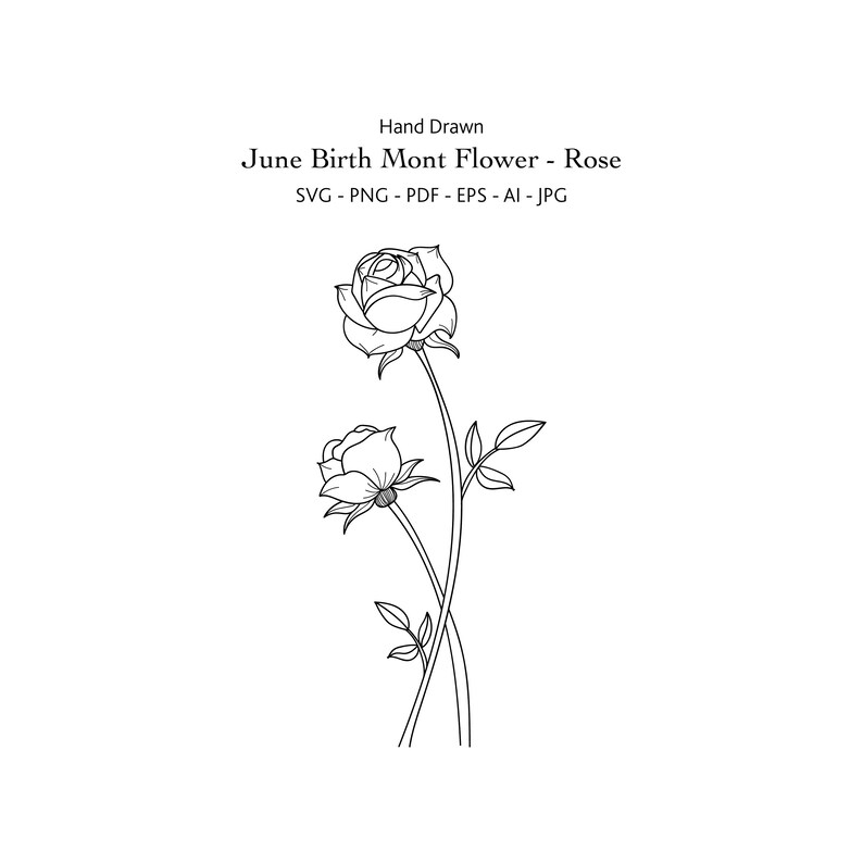 June Birth Month Flower Svg Hand Draw Rose Svg Etsy
