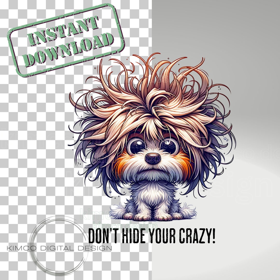 Sarcastic Funny Don't Hide Your Crazy PNG Clipart, Transparent ...