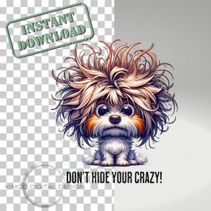 May include: A cartoon illustration of a dog with a fluffy, messy hairstyle. The dog is white with orange and brown markings. The dog is looking at the viewer with a playful expression. The text "Don't hide your crazy!" is written below the dog.