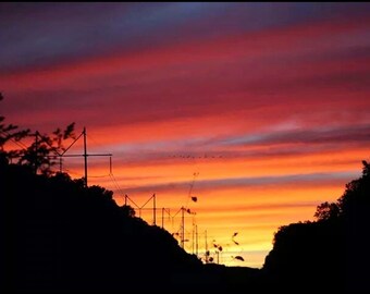 May include: A vibrant sunset sky with streaks of orange, pink, and purple. Silhouettes of power lines and trees are visible in the foreground.