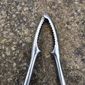 Könnte beinhalten: Nahaufnahme eines silbernen Nussknackers mit gezahnten Backen. Das Werkzeug besteht aus glänzendem Metall und ist zum Knacken von Nüssen bestimmt. Die Griffe sind gebogen und erstrecken sich nach außen.