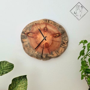 Puede incluir: Un reloj de madera con agujas negras, que presenta un patrón de veta de madera natural y una forma circular. El reloj está montado en una pared blanca con una pequeña planta en la esquina.