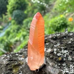 Rojo RARE Natural Lemurian Cuarzo Lemuria semilla Cristal