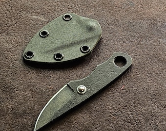 RLPs 256