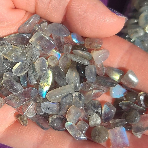 One (1) 3 inch Bottle of Labradorite Chips | High Quality | Lots of Flashy Labradorite | Intuitively Chosen | Approx 52g Chips per Bottle