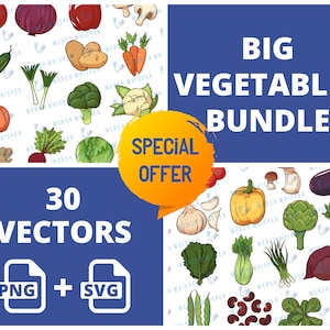 May include: A digital illustration of a bundle of 30 vector images of various vegetables. The images are in a cartoon style and include a variety of vegetables such as carrots, onions, garlic, peppers, and mushrooms. The text "BIG VEGETABLES BUNDLE" and "SPECIAL OFFER" are also included in the image.