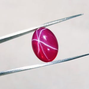 May include: An oval-shaped, deep magenta star ruby gemstone held by silver-toned metal tweezers. The cabochon-cut stone features a distinct, bright white six-rayed star pattern that radiates from the centre across its smooth, polished surface.