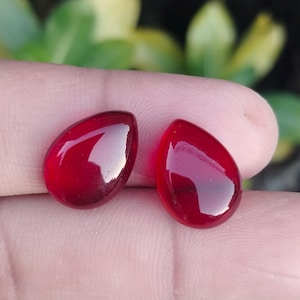 May include: Two teardrop-shaped, polished red gemstones. The gems are a deep, rich red color with a glossy, reflective surface. The stones are displayed against a blurred background of green and yellow foliage.