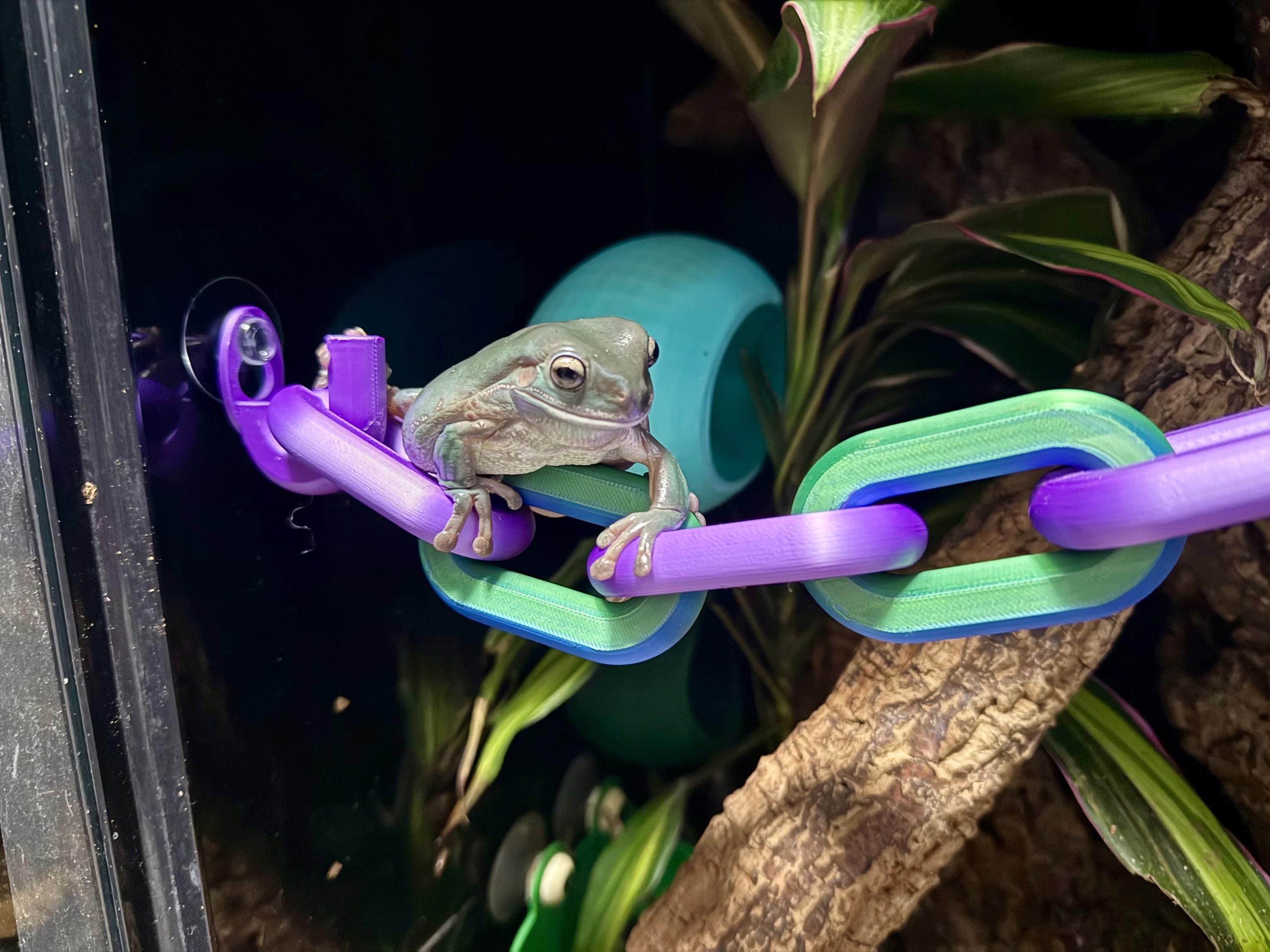 Reptile and Frog Chain Link Bridge – Available in 3 Sizes | Perfect for ...