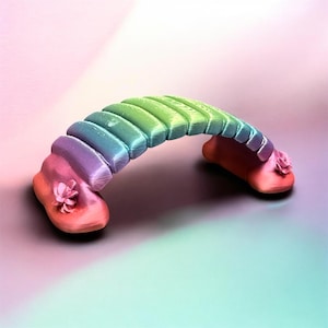 May include: A curved bridge-shaped object with a gradient finish transitioning from pink at the base to purple, blue, and green across the top. The structure features a segmented, ribbed surface and small floral-like embellishments at each end.