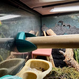 以下が含まれることがあります： テラリウムの内部。木製の止まり木が、ティール色の支柱で支えられています。ピンク色のプラットフォーム、餌入れ、緑の植物があります。背景には、質感のある壁とメッシュのトップがあります。