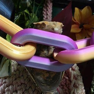 May include: A crested gecko resting behind a series of interlocking plastic chain links. The links feature a gradient colour transition from bright orange to vibrant purple. The gecko has textured brown skin and is positioned within a woven rope structure.