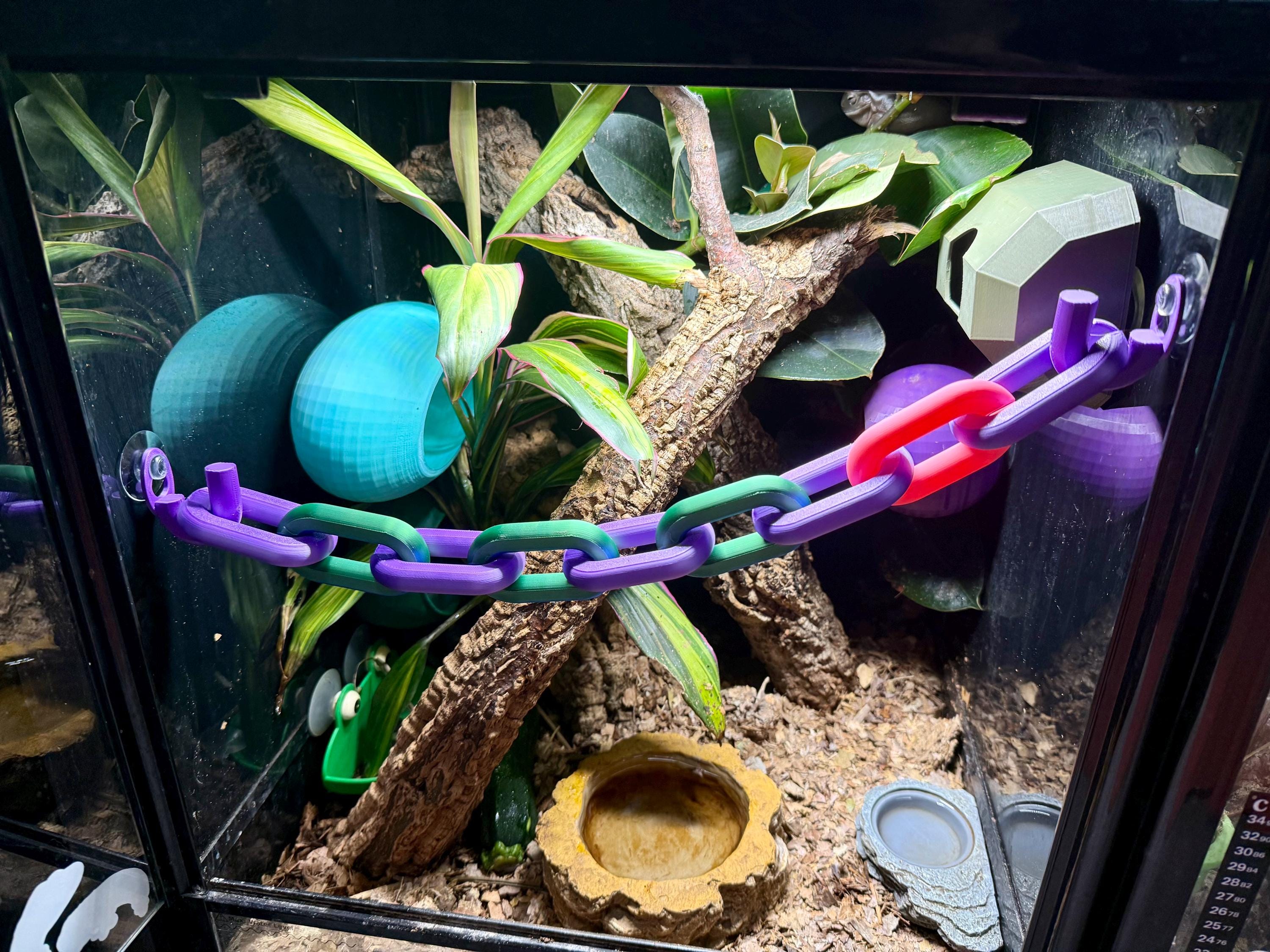 Frog Ball Chain Reptile and Frog Chain Link Bridge – Available in 3 Sizes | Perfect for ...
