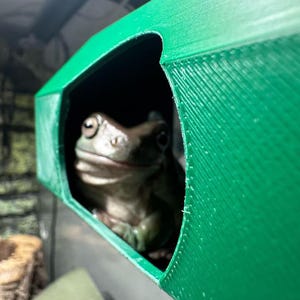May include: A green tree frog peeks out from a green, 3D-printed hideaway. The frog's skin is a mix of green and brown, with visible eyes. The hideaway has a rectangular shape with a curved opening, designed for reptiles and amphibians.