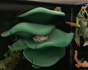 Mega Mushroom Reptile ledge – Gecko, Frog & Snake Enclosure Decor
