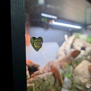 Puede incluir: Un tirador de armario en forma de corazón, verde metálico, con un anillo dorado. El tirador está fijado a una puerta de armario negra. El fondo muestra un terrario con un reptil.