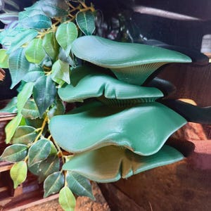 Può includere: Primo piano di un terrario con foglie verdi artificiali e un gruppo di strutture verdi a forma di fungo. Le foglie sono di un verde chiaro e scuro, e i funghi hanno un aspetto stratificato. Il terrario ha un substrato sabbioso.