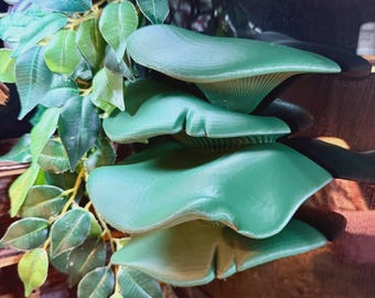 Mega Mushroom Reptile Shelf – Gecko, Frog & Snake Enclosure Decor