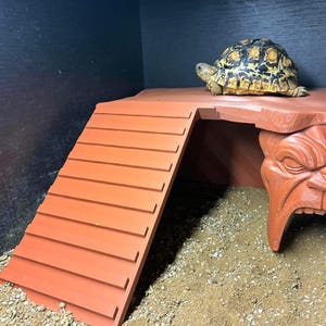 May include: A terracotta-colored reptile hideout featuring a ramp with horizontal ridges and a support pillar sculpted into a fierce, snarling face. A small tortoise with a patterned brown and tan shell rests on top of the flat platform.