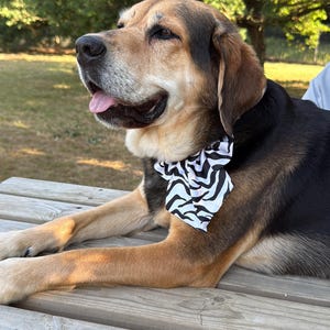 Könnte beinhalten: Ein mittelgroßer Hund mit braunem und schwarzem Fell, der eine schwarz-weiß gestreifte Fliege trägt, ruht auf einem Picknicktisch aus Holz. Der Hund blickt nach links, die Zunge heraus. Der Hintergrund ist verschwommen mit grünen Bäumen.
