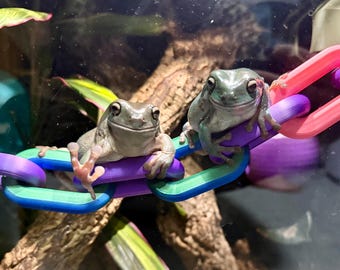 Reptile and Frog Chain Link Bridge – Available in 3 Sizes | Perfect for Frogs, Geckos, Chameleons, Available in 1,2 or 3 colours! enrichment