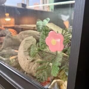 May include: A reptile enclosure with a black frame, decorated with a pink flower and artificial greenery. Inside, there are rocks, a wooden platform, and a heat lamp. The enclosure is made of glass.