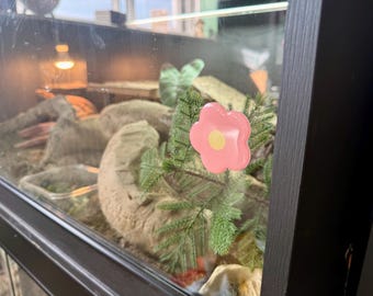 Vivarium Leaf Handles - our best selling vivarium and terrarium handles are back.