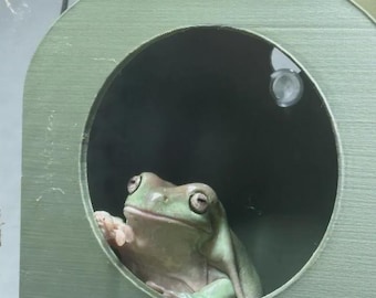 FROG & GECKO Jelly Bean Hide for Geckos, frogs, day geckos, strong suction.