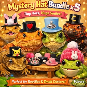 May include: A Mystery Hat Bundle x5 featuring five small hats for reptiles and small critters. The collection includes a black top hat with bunny ears, a black top hat with a red heart, a light blue top hat, a black top hat with a letter C, and a pink knit beanie with a bunny face. A small jewelled crown is also included.