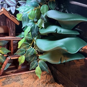 May include: A miniature wooden house with a brown roof and a small opening, set amidst green leafy plants and large, green, mushroom-shaped structures. The scene evokes a natural, whimsical aesthetic.