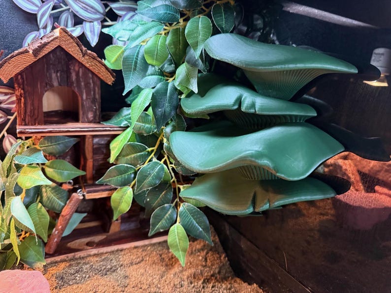 May include: A miniature wooden house with a brown roof and a small opening, set amidst green leafy plants and large, green, mushroom-shaped structures. The scene evokes a natural, whimsical aesthetic.