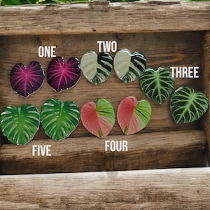 Manijas de hojas para vivarios: nuestras manijas para vivarios y terrarios más vendidas están de regreso.